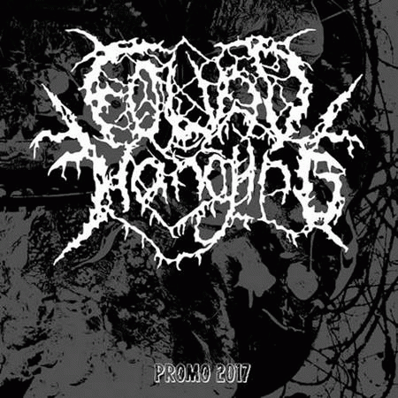 Found Hanging : Promo 2017